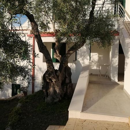 Villa Elisa فيستَ المظهر الخارجي الصورة
