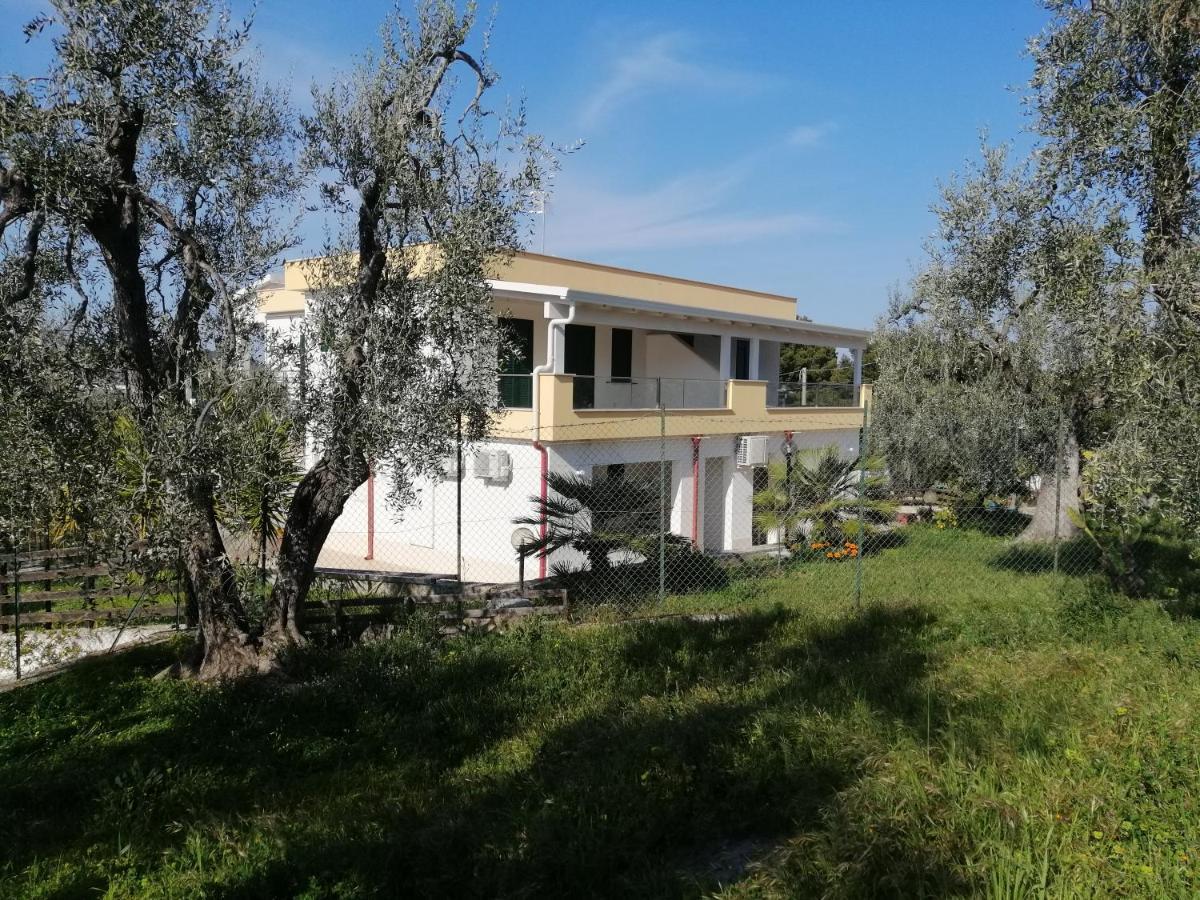Villa Elisa فيستَ المظهر الخارجي الصورة