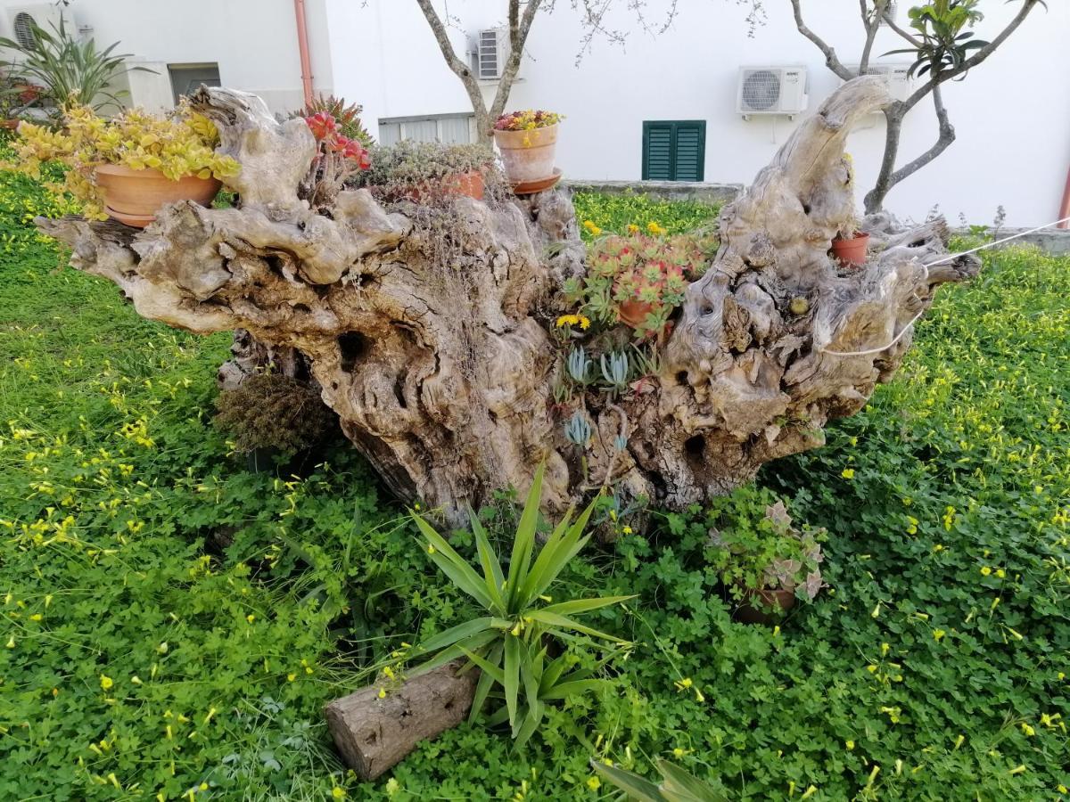 Villa Elisa فيستَ المظهر الخارجي الصورة