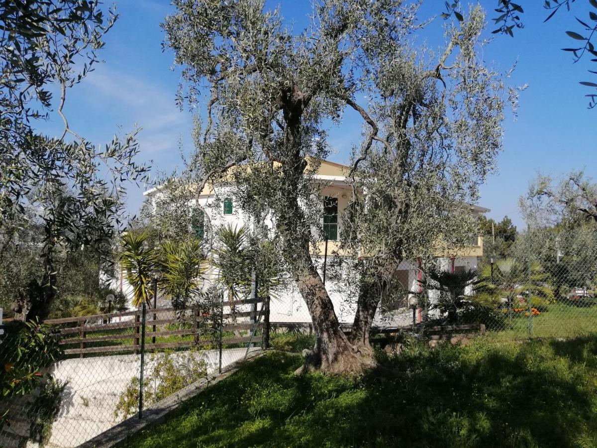 Villa Elisa فيستَ المظهر الخارجي الصورة