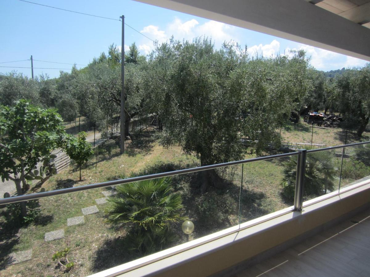 Villa Elisa فيستَ المظهر الخارجي الصورة