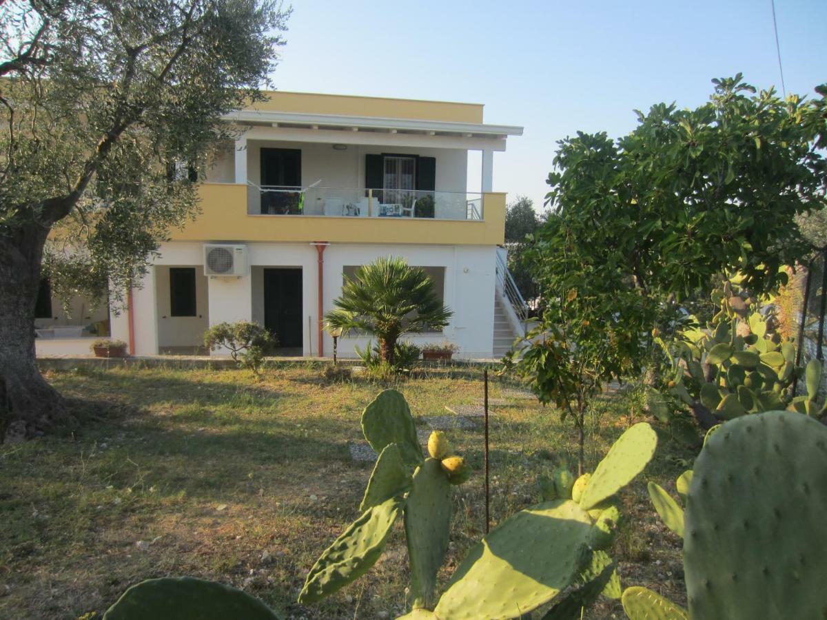 Villa Elisa فيستَ المظهر الخارجي الصورة